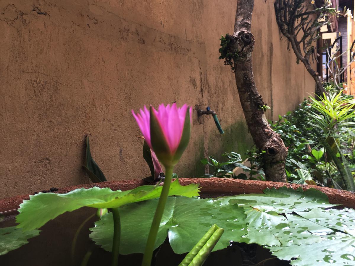 Bulan Bali Homestay Ubud Eksteriør billede